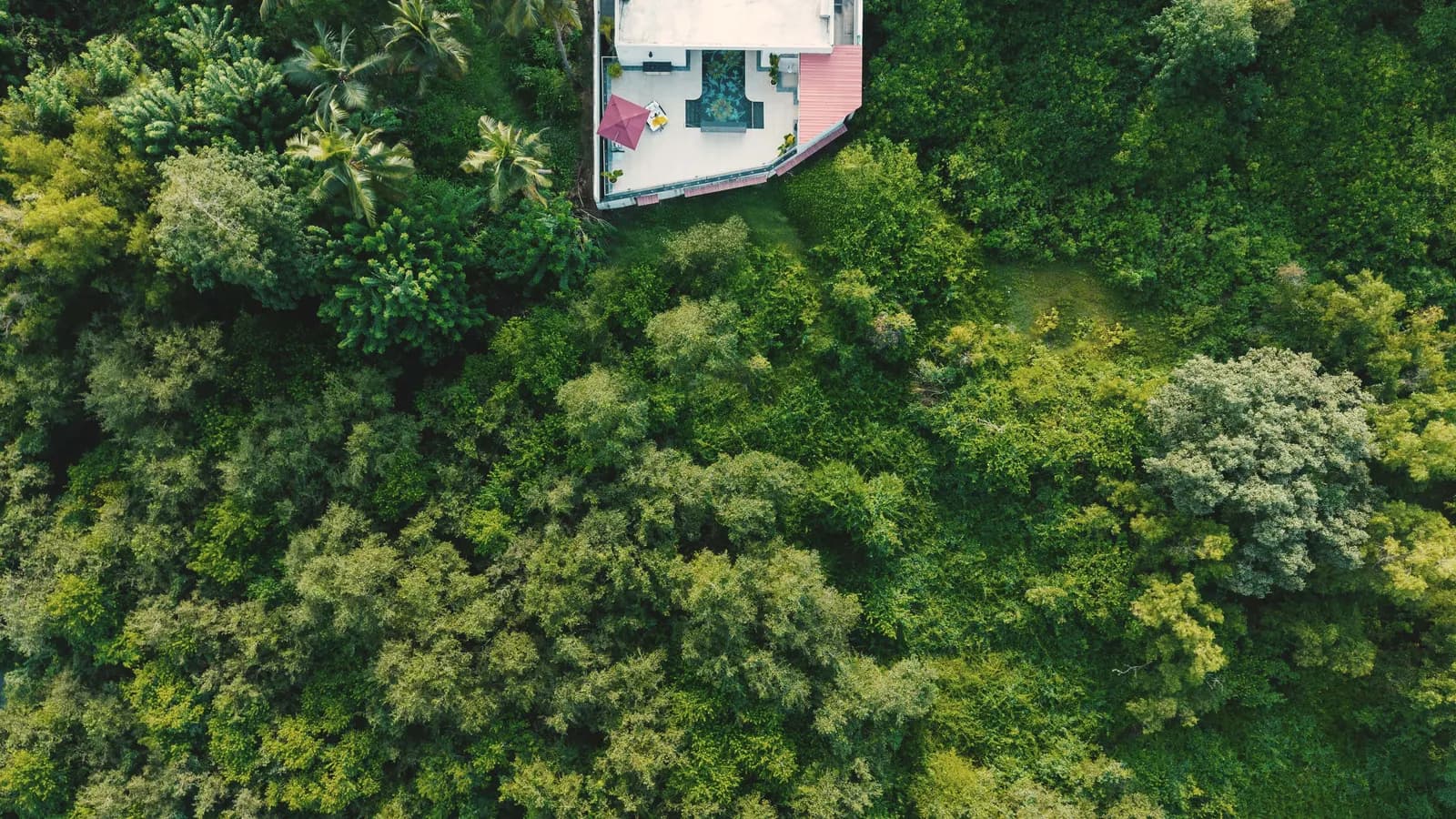 Villa Raag and the greenery around it, from above
